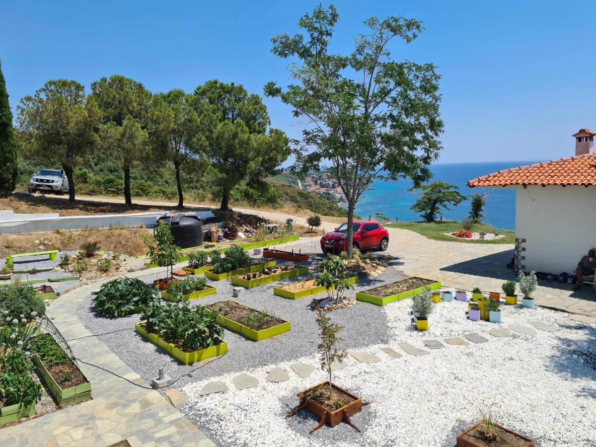 Greco Paradise Suites - Adult Only Неа-Скіоні Екстер'єр фото